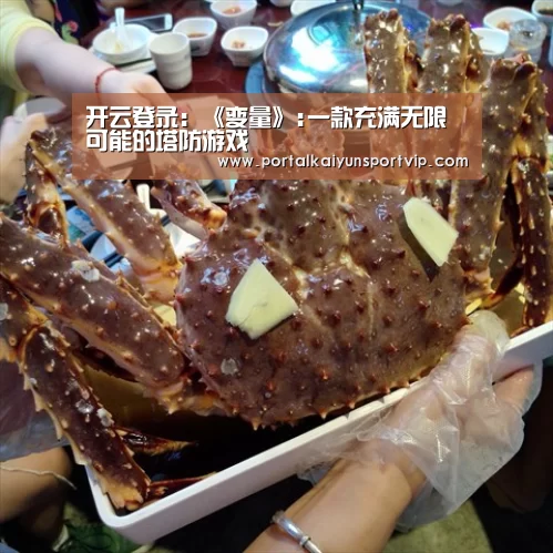 开云登录:《变量》:一款充满无限可能的塔防游戏(图2) 开云体育高清直播
