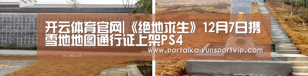 开云体育高清直播