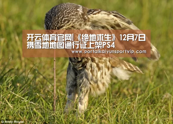 开云体育官方