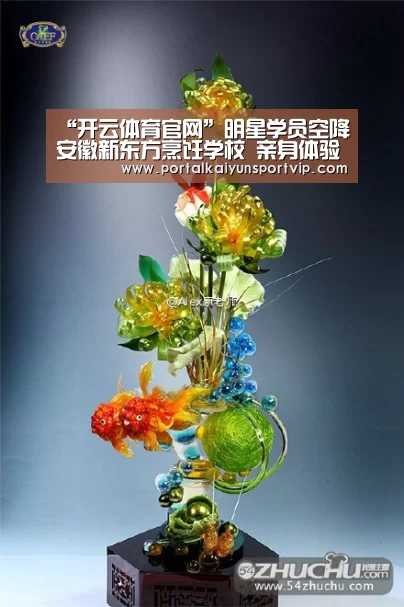 开云体育官网