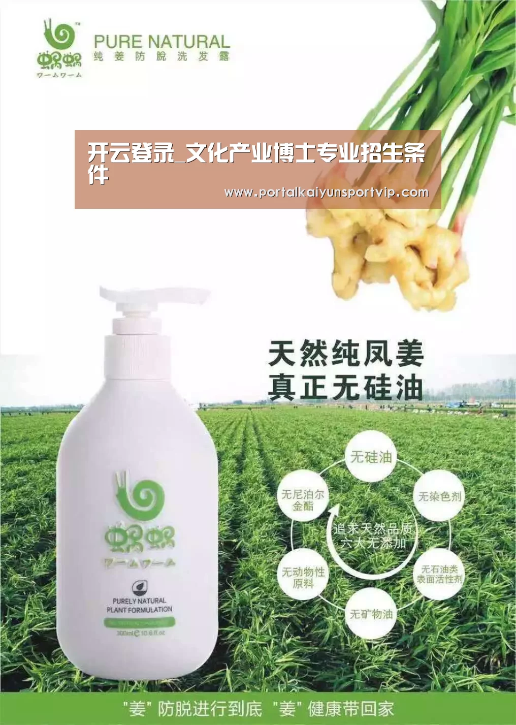 开云登录_文化产业博士专业招生条件(图3) 开云体育官方