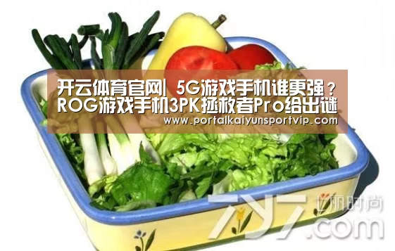 开云体育官网|
5G游戏手机谁更强?ROG游戏手机3PK拯救者Pro给出谜底(图2) 开云体育高清直播